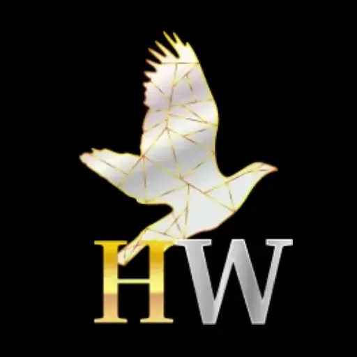 HIBIKIWIN - Ketegangan Dalam Kegelapan